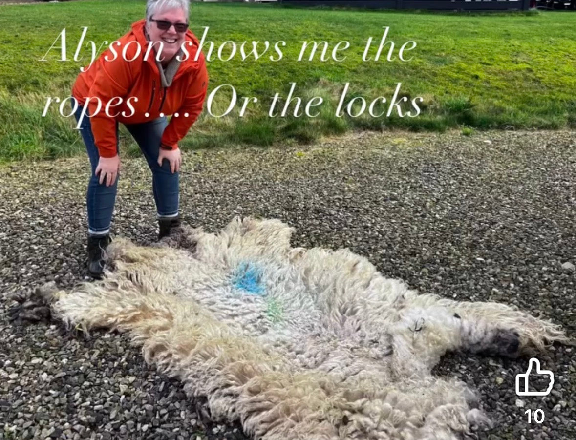 kintyre yarn
scottish wool
campbeltown
sheep wool